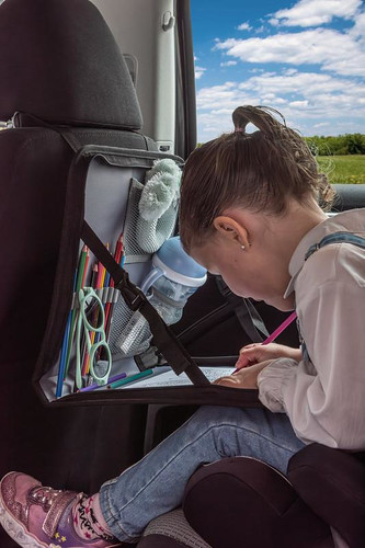 Dooky Backseat Travel Tray 2in1