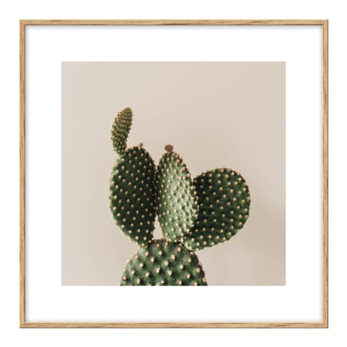 Picture Set Palm & Cactus 20 x 20 cm 3-pack