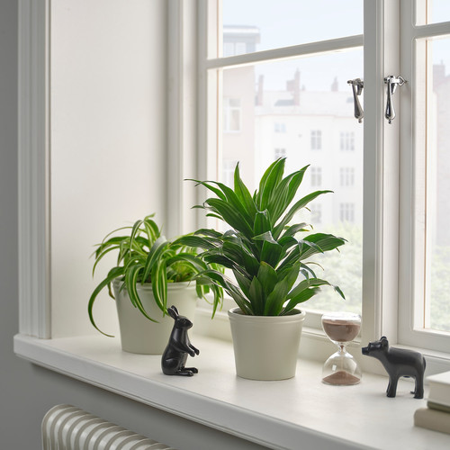 KÖRSBÄRSBJÖRK Plant pot, light grey/beige, 9 cm