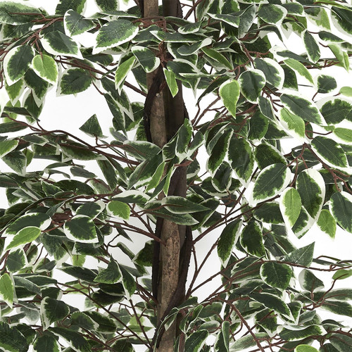 Artificial Plant Benjamin 170 cm