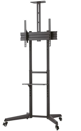 NewStar Floor Stand 37-70" 50kg FL50-550BL1