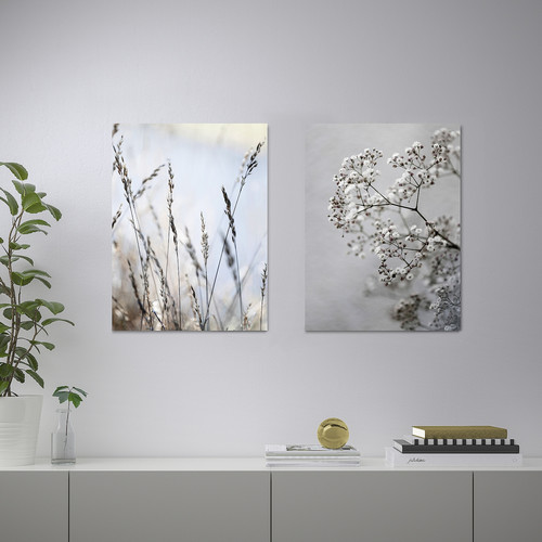 PJÄTTERYD Picture, set of 2, meadow grass, 30x40 cm
