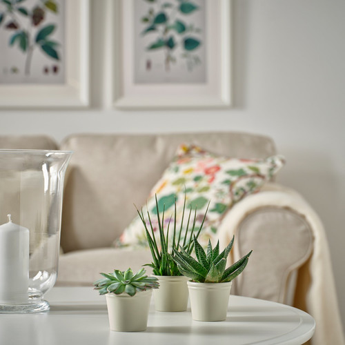 KÖRSBÄRSBJÖRK Plant pot, light grey/beige, 6 cm