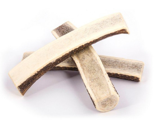 4DOGS Natural Dog Chew from Discarded Antlers, XL+ Easy 1pc