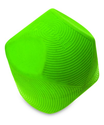 Chuckit! Erratic Ball Small 2-pack