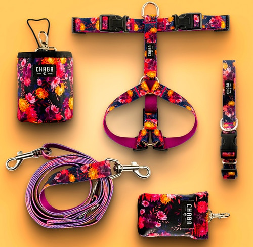 CHABA Dog Harness Guard Story S 1.6cm, marigold