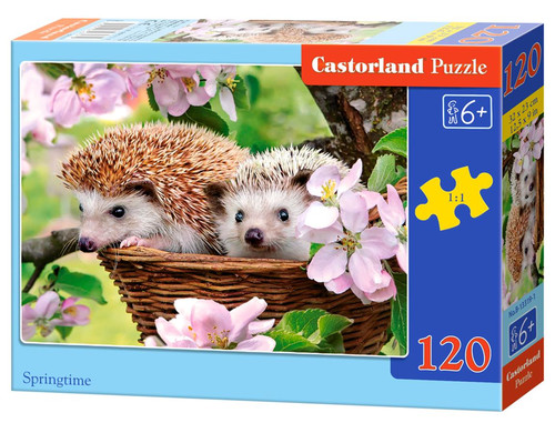 Castorland Children's Puzzle Springtime 120pcs 6+